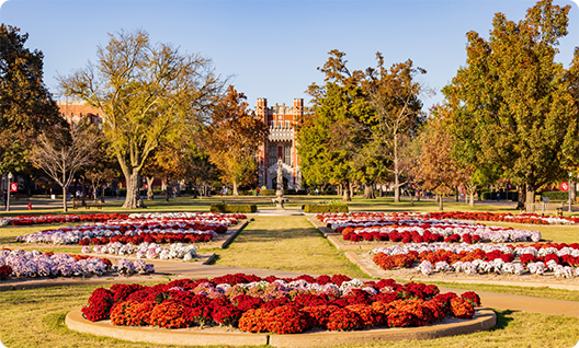 Colorful bushes on a university campus