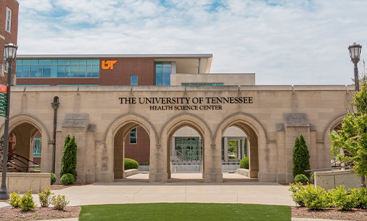 The University of Tennessee Health Science Center bridge