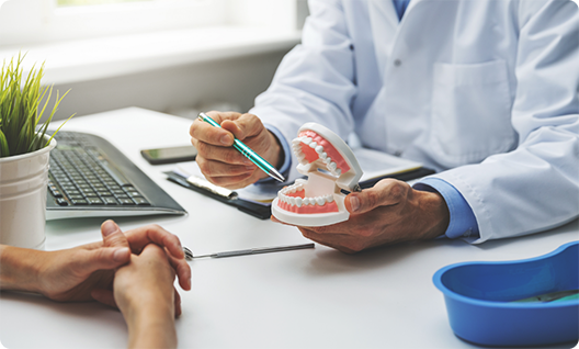 Dentist showing patient model of teeth