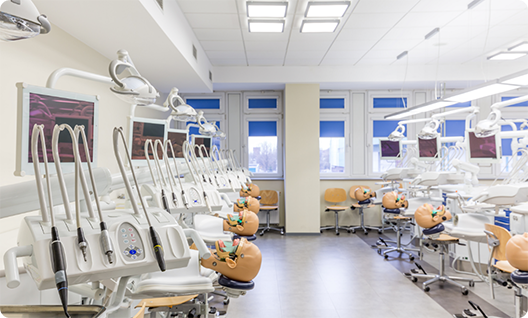 Multiple dummies representing dental patients in a classroom